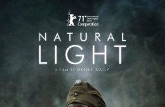 Естественный свет