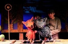 Золотой цыплёнок