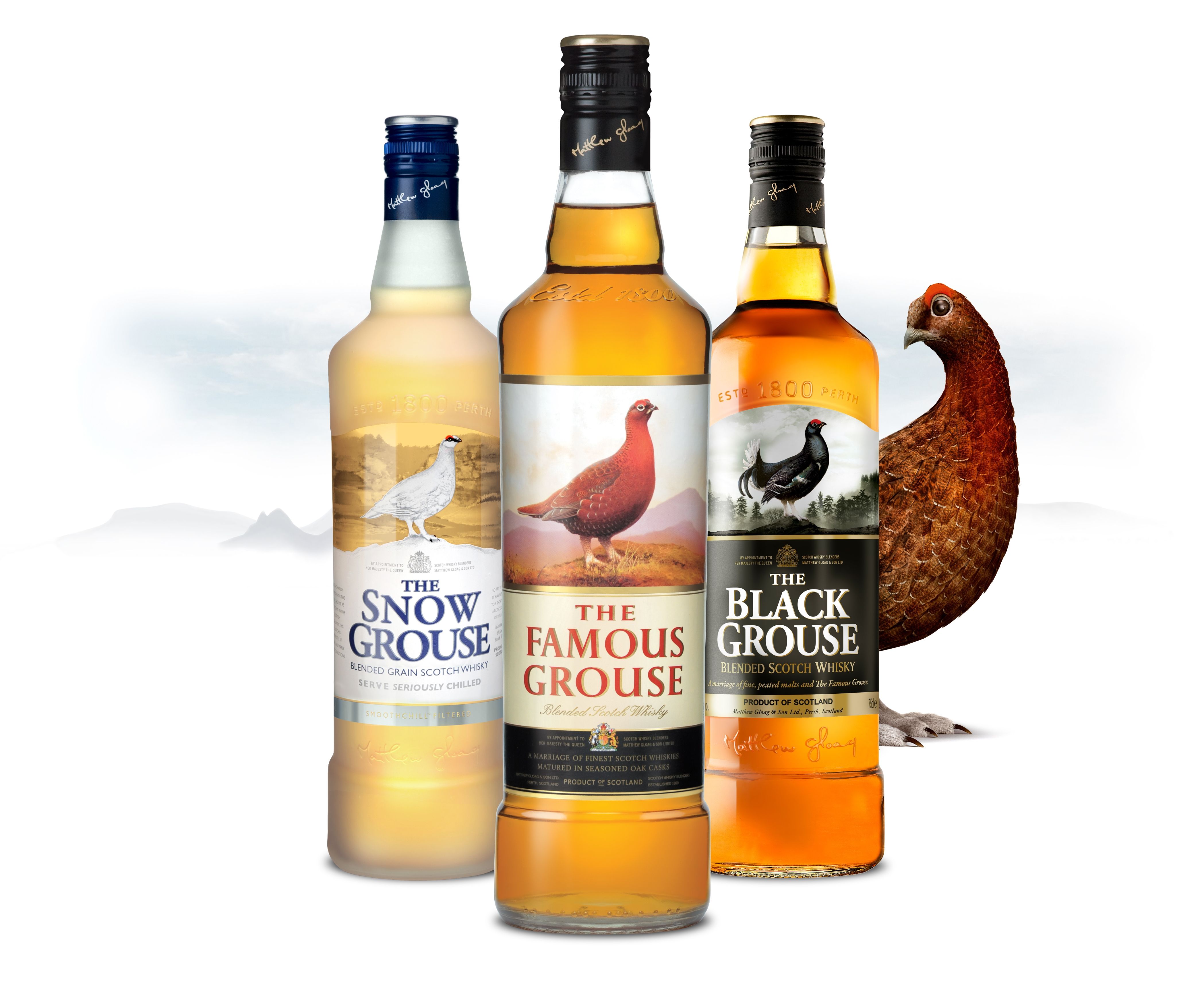 Виски фазан. Виски famous Grouse. Шотландский виски famous Grouse. Набор виски Фэймос Граус. Виски фамоус Гросс.