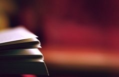 Лики губернского города