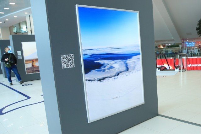В «Москвариуме» состоялось открытие выставки «Камчатка: твое невероятное приключение»