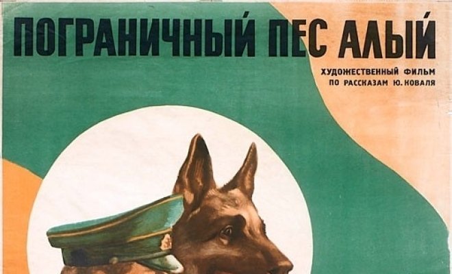 Пограничный пес Алый