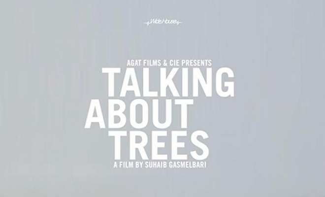 Разговоры о деревьях