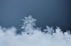 Феномен снегурочки