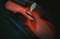 Зимняя бабочка