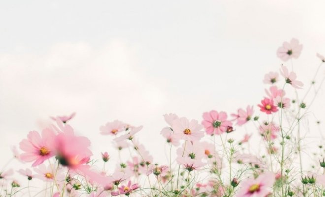 «Времена года» Вивальди и шедевры классики во дворце