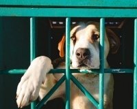 Помогать — значит делать.