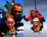«День Авиатора» на аэродроме «Логиново» - авиашоу, собака-парашютистка, 800-метровый флаг России.