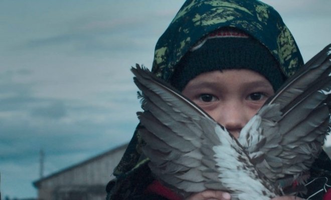 Короткометражные фильмы Beat Film Festival
