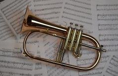 Pianissimo. Дмитрий Шишкин