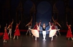 Лебединое озеро