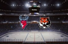 Торпедо — Амур