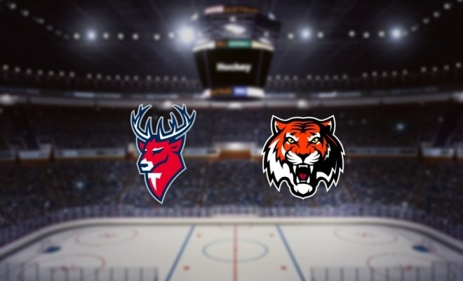 Торпедо — Амур