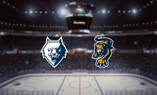 Нефтехимик — Сочи