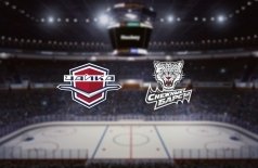 Чайка — Снежные Барсы