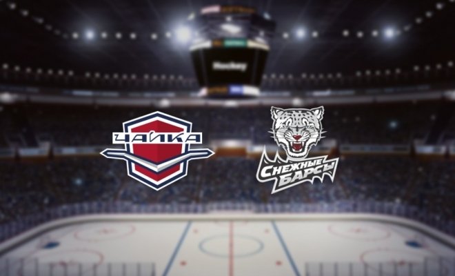 Чайка — Снежные Барсы