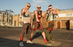 Скворцы Степанова