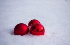 Двенадцать месяцев