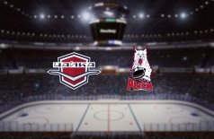 Чайка — Красноярские Рыси