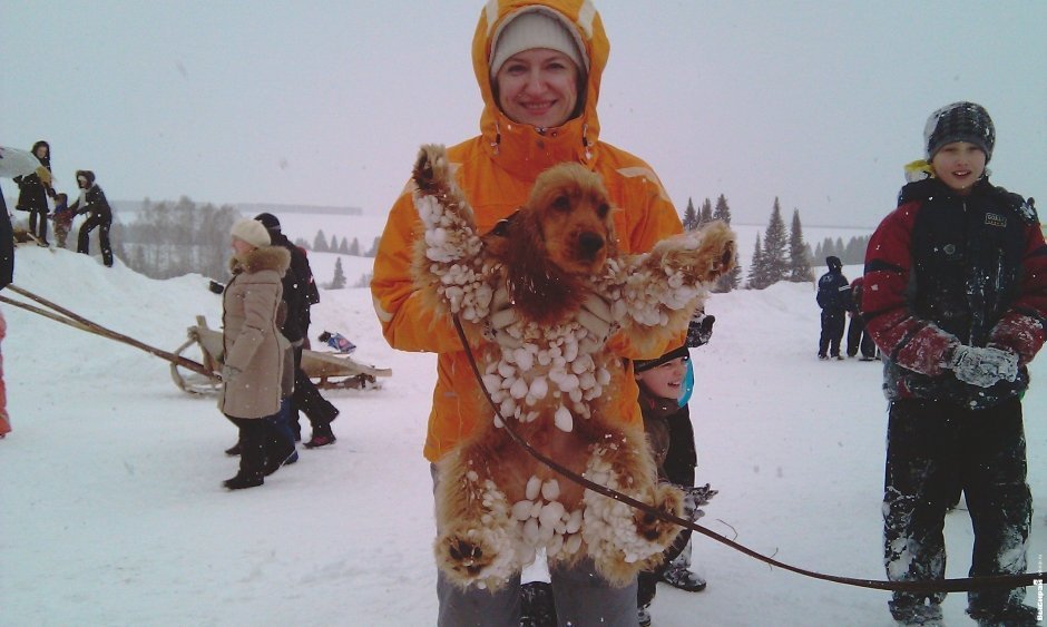 Светлана Токарева