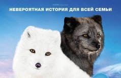 Кина и Юк: Пушистые приключения