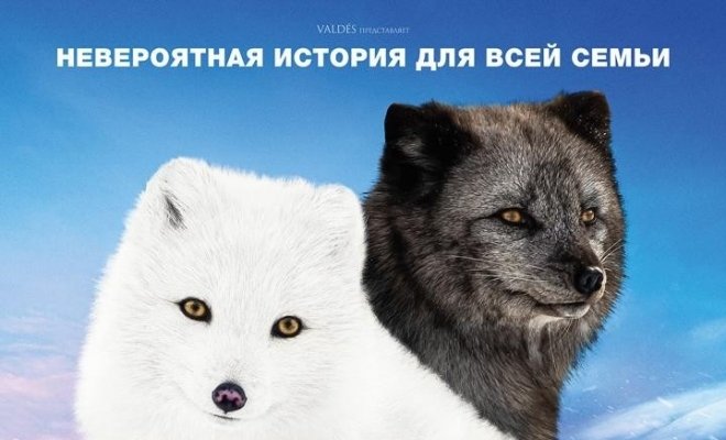 Кина и Юк: Пушистые приключения