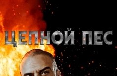Цепной пес