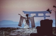 Мадам Баттерфляй