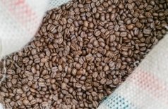 Экскурсия, лекция и каппинг на производстве BunaCoffee