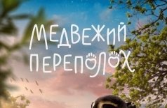 Медвежий переполох