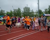 В Полевском прошел благотворительный забег «Бежим с добром».