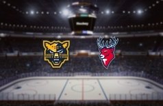 Кинопоказ матча КХЛ Сочи — Торпедо