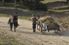 Все ушли