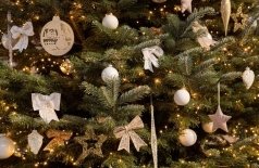 По следам Нового года