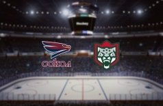 Сокол — Барс