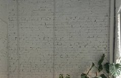 Женщины рода Романовых