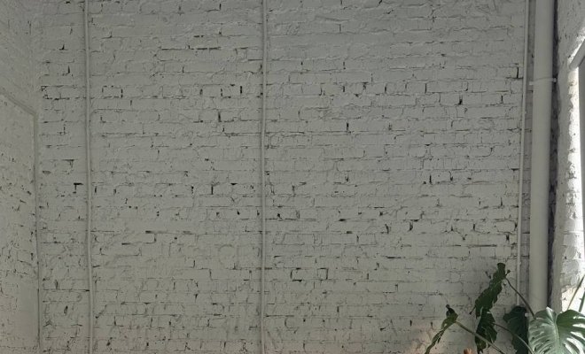 Женщины рода Романовых