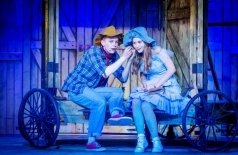 Приключения Тома Сойера