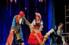 Единственный наследник