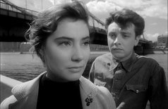 Летят журавли