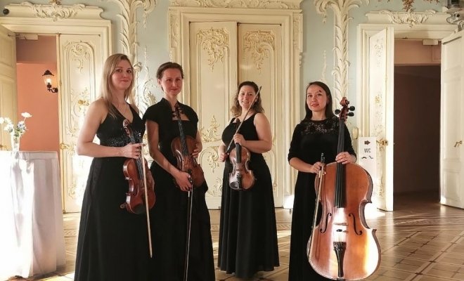 Волшебная скрипка и её семья