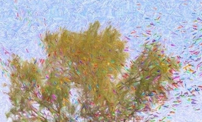 Жизнь и жизнь