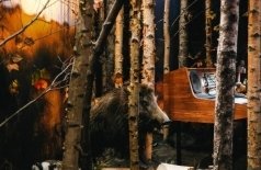 Авторский стиль с экскурсионным обслуживанием