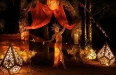 Wild Ecstatic Dance Festival