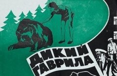 Дикий Гаврила