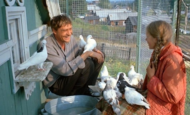 П40! Любовь и голуби