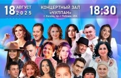 Благотворительный концерт в поддержку Нияза Тимирова