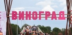 Жаркий август в Екатеринбурге: в Парке Маяковского пройдет фестиваль «Виноград».