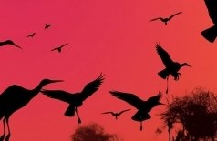 Шедевры мировой киномузыки. Шедевры Поля Мориа, Джеймса Ласта, Эннио Морриконе, Нино Рота