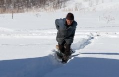 Отшельник